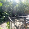 Photo 4: Patio