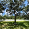 Photo 5: Huge Backyard