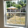 Photo 5: Looking into the backyard
