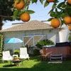 Photo 9: Shared Backyard