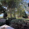 Photo 6: Park right outside patio 