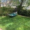 Photo 6: Backyard
