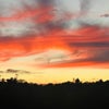 Photograph of Dawn