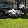Photo 5: Back Deck Facing Golf Course