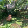Photo 6: back yard