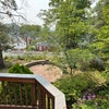 Photo 6: backyard from trellised deck 