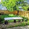 Photo 8: Backyard