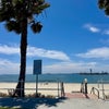 Photo 8: Beach is 5 minutes walk