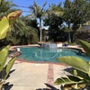 Photo 6: Backyard