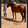 Photo 3: a love for horses