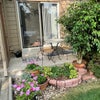 Photo 8: Back patio