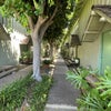 Photo 8: Courtyard