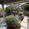 Photo 8: Front Yard