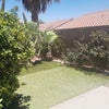 Photo 6: YARD