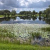 Photo 3: Back yard Lake