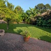 Photo 9: Backyard