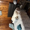 Photo 5: Wooden walls like 