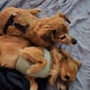 Photo 2: My 15 year old female and 14 year old male