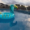 Photo 3: Pool time! 