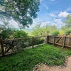 Photo 6: backyard