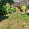 Photo 6: view from bedroom of the backyard