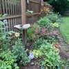 Photo 8: Garden