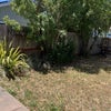 Photo 8: Yard