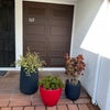 Photo 9: Entryway