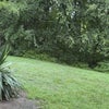 Photo 3: Your view from patio 