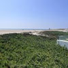 Photo 2: Fresh air and cool ocean breeze.
