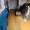 Photo 5: Living Room/Entry
