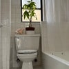 Photo 3: Bathroom 