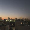 Photo 9: Rooftop view of Manhattan