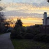 Photo 9: Eve walk