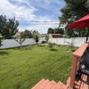 Photo 7: Backyard