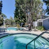 Photo 5: Community Pool