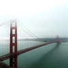 Photo 7: A glimpse into my photography.