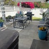 Photo 5: Backyard