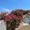 Photograph of Kyra