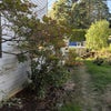 Photo 4: Backyard