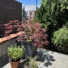 Photo 2: Outdoor garden, much bigger than seen here