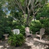 Photo 9: Peaceful outdoor space