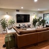Photo 5: Living room