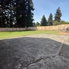 Photo 4: Backyard