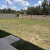 Photo 9: Backyard
