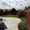 Photo 8: Back Yard