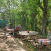 Photo 7: Nature lovers backyard