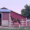 Photograph of Gen