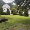 Photo 3: Backyard