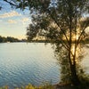 Photograph of Ani